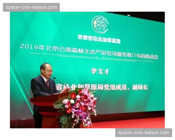 头部赛事直播权采买策略更注重长期价值与生态协同